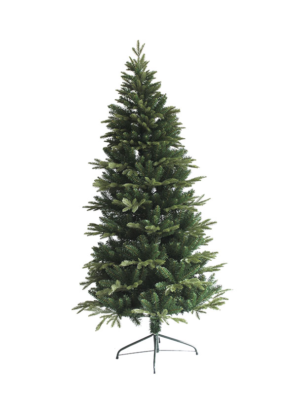 Arbor Nativitatis-PE16001