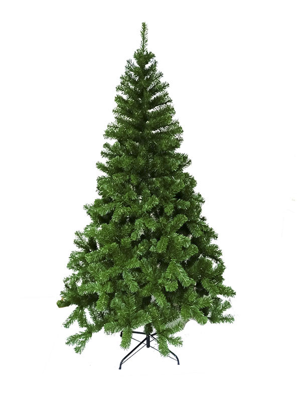 Arbor Nativitatis PROTREE1