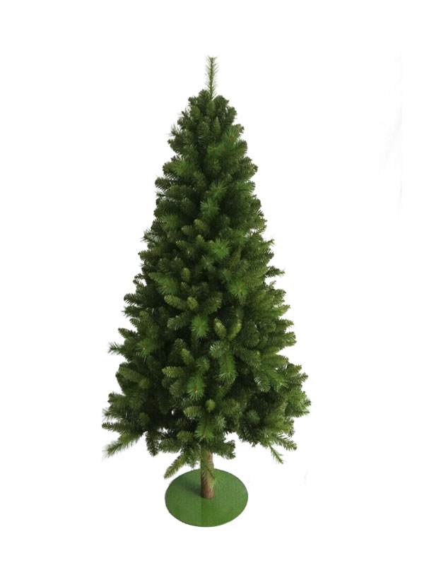 Arbor Nativitatis MP16001