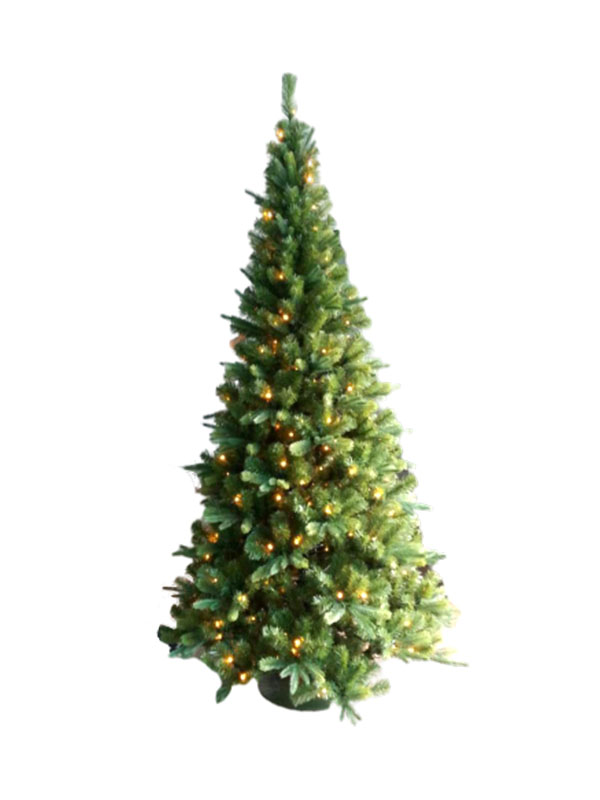 Arbor Nativitatis-PET 907-040