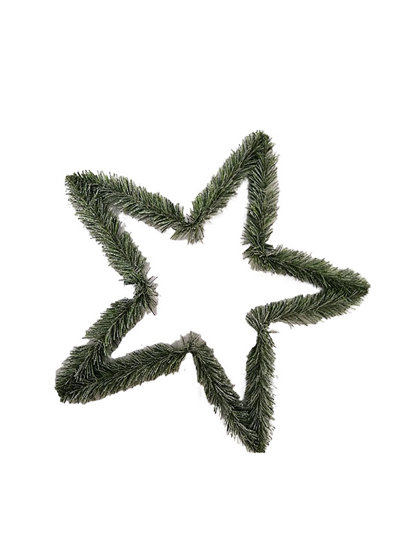 Aliae speciales stellae Nativitatis Decorations