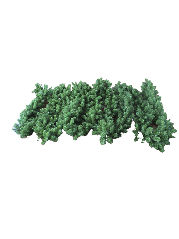 Arbor Nativitatis-PVG 15M001