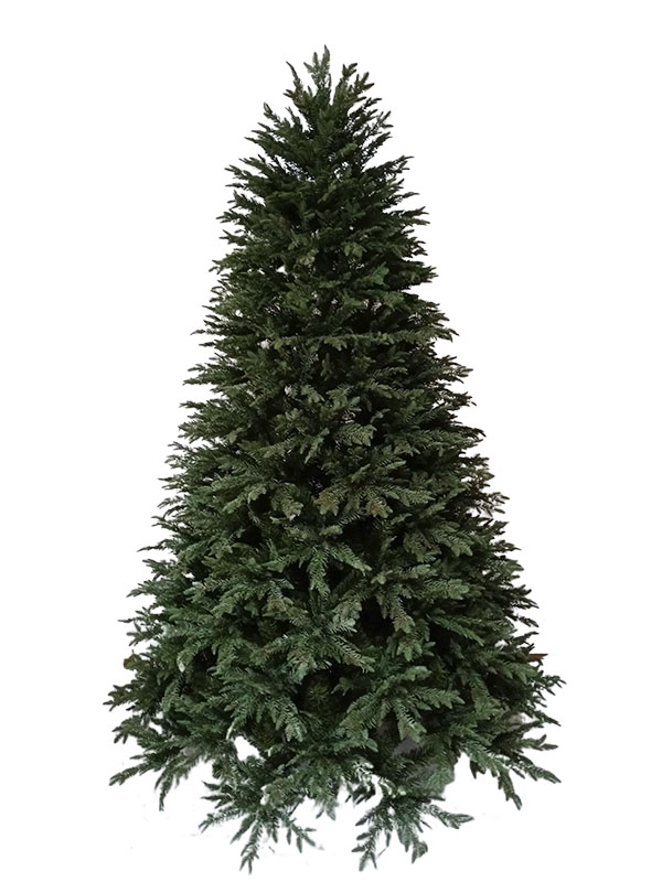 Arbor Nativitatis Magnae-PE21002