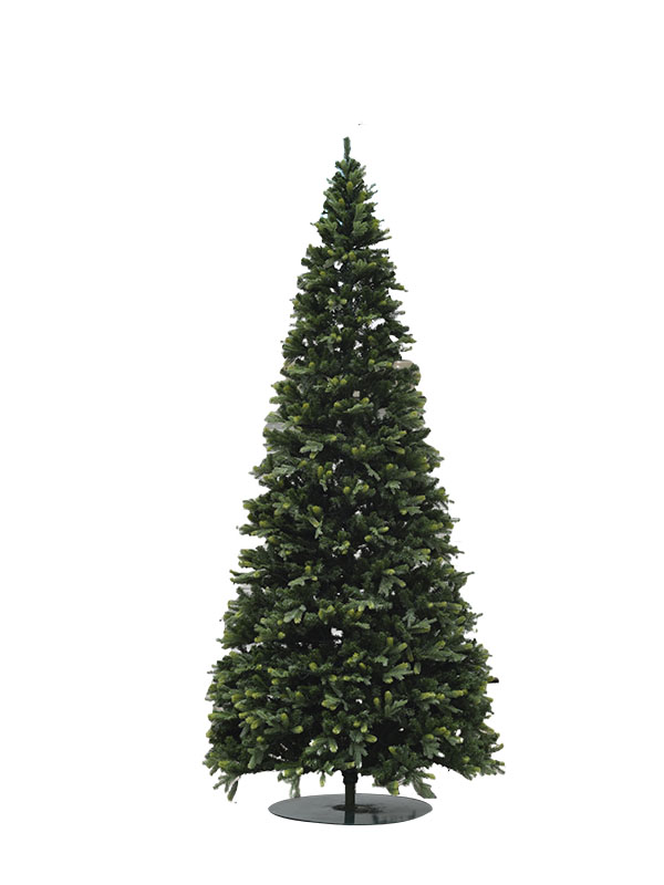 Arbor Nativitatis Magnae-PV21360