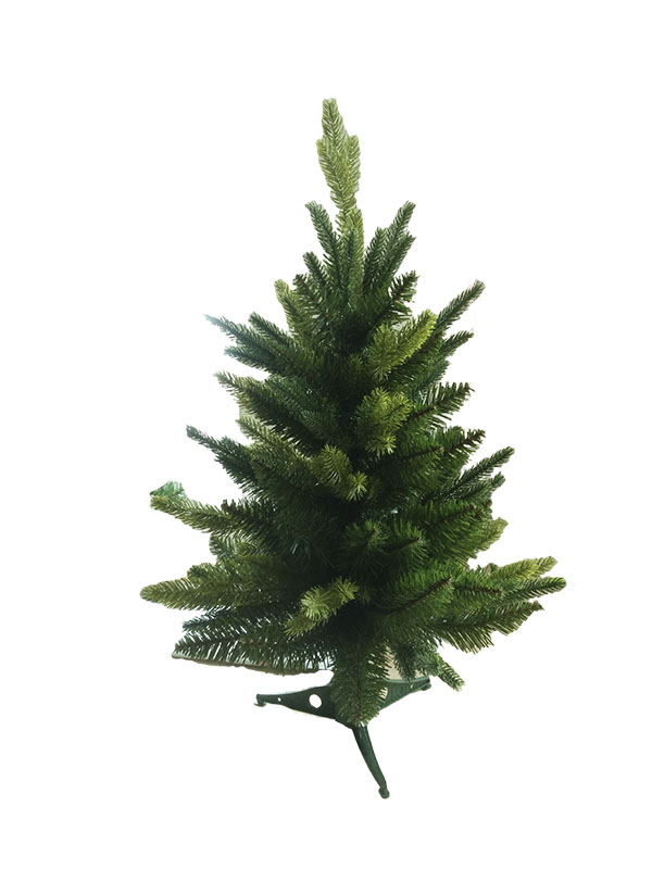 Arbor Nativitatis-PETAT 60001