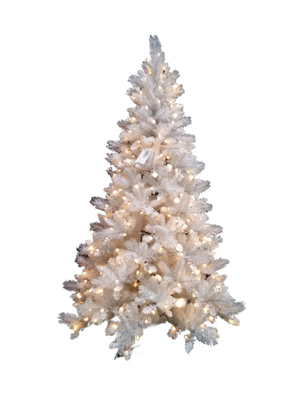 Nix Nativitatis Domini PV21001