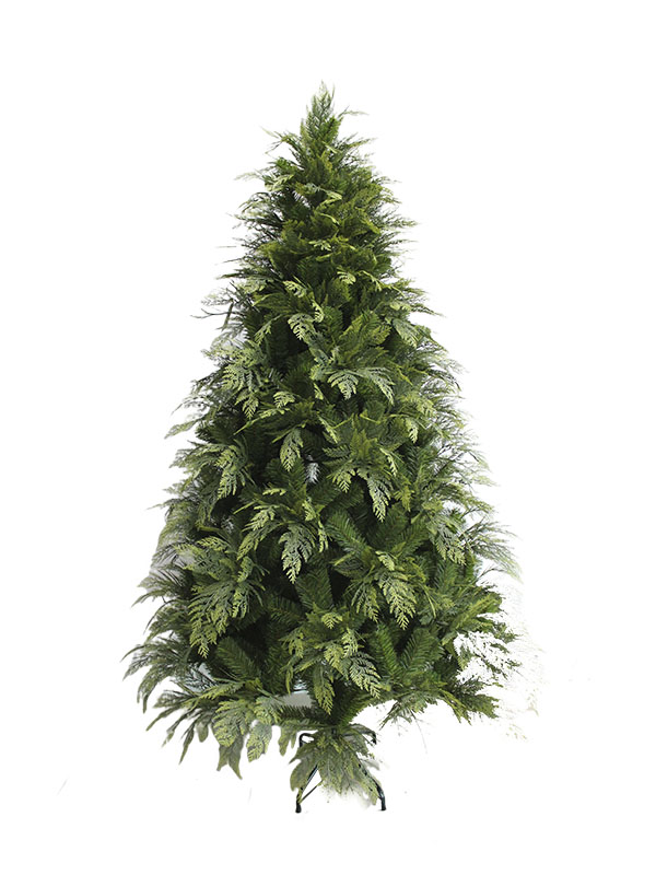 Arbor Nativitatis-PE18001