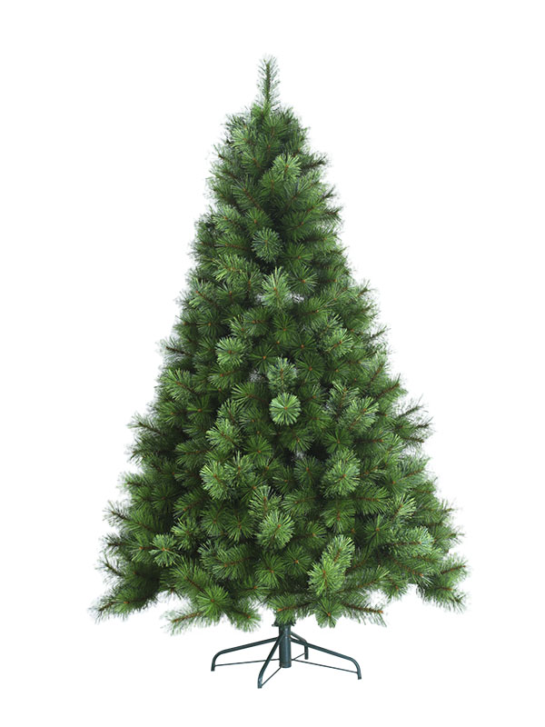 Arbor Nativitatis MP16001