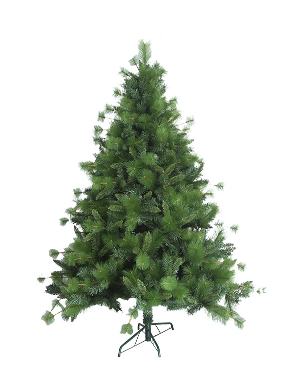 Arbor Nativitatis MP120058