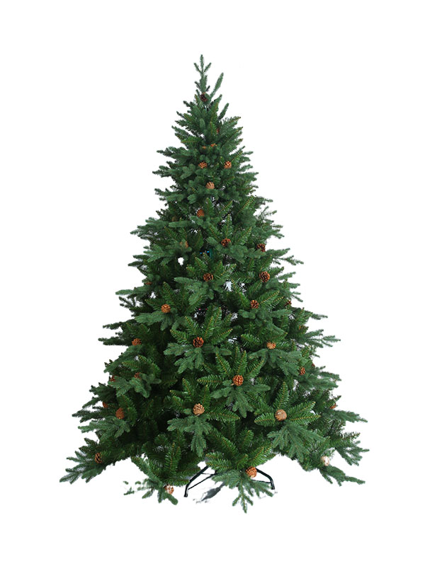 Arbor Nativitatis-CT15001