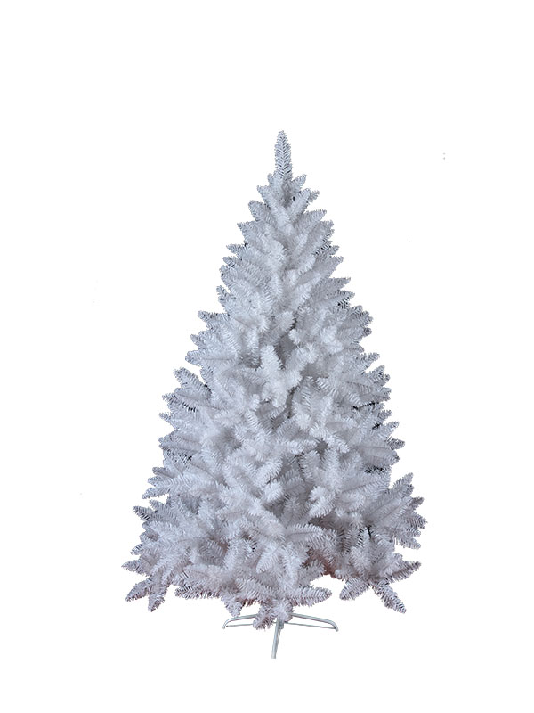 Nix Nativitatis Domini-CTW122015