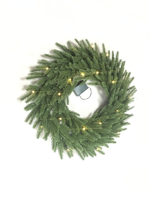 PE Series-60CM Coronae Nativitatis