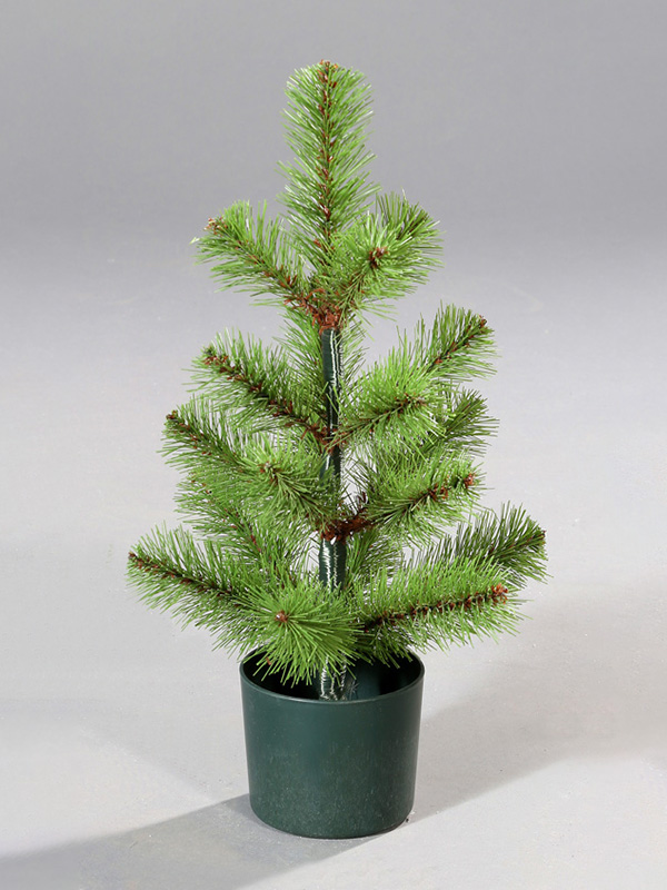 Shaoxing Hongxin Donum Co., Ltd.
