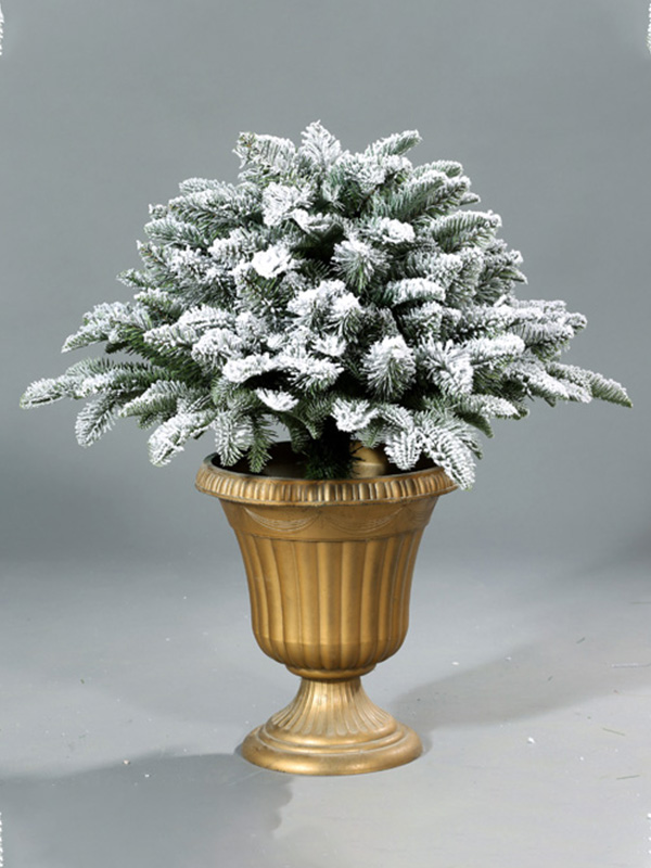 Nativitas Domini Nix Arbor 9A3A8779