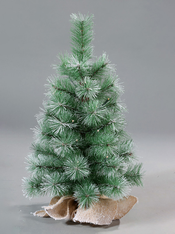 Nativitas Domini Nix Arbor 9A3A8820